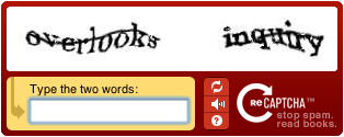 reCAPTCHA Example