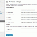 skydiving permalink settings