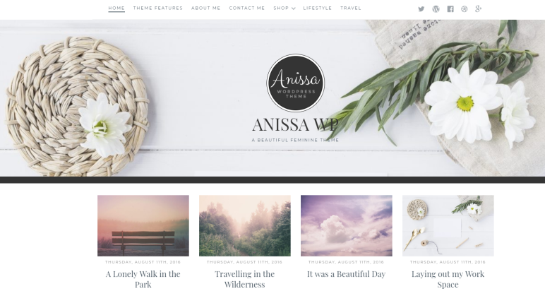 anissa wordpress theme